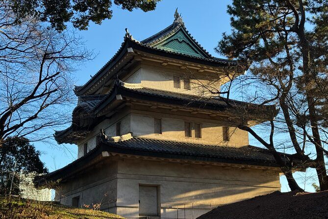 Tokyo Private Tour Discover the Best of Japans Capital - Frequently Asked Questions