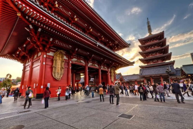 Tokyo Private Tour English Pro Guide By Luxury Vehicle - Key Points