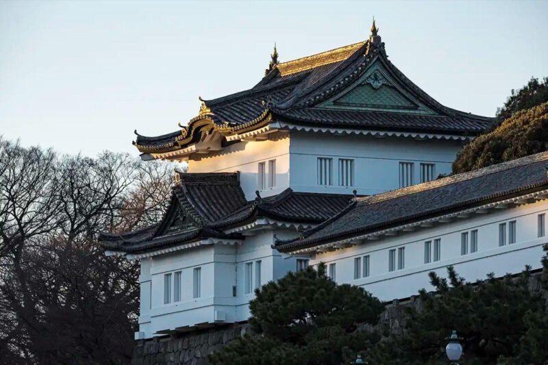 Tokyo Private Tour English Pro Guide By Luxury Vehicle - Final Thoughts: Is This Tour Right for You?