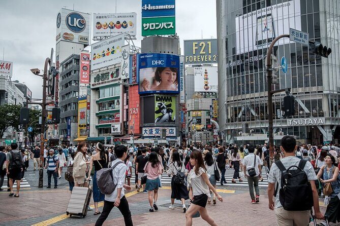 Tokyo Private tour in Luxury Vehicle with English Speaking Guide - Key Points