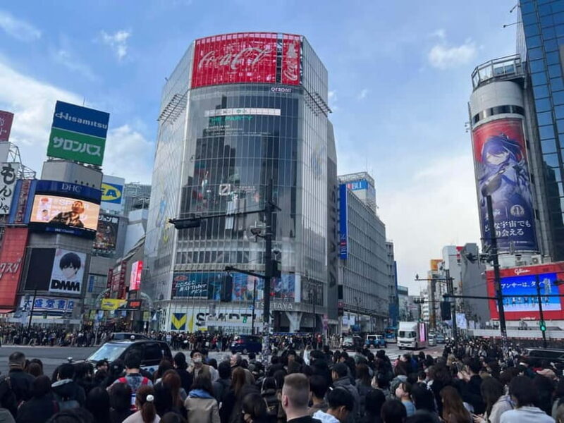 Tokyo: Private Tour of Tokyo - Key Points