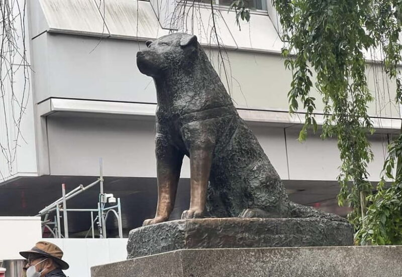 Tokyo: Private Tour of Tokyo - A Close Look at the Itinerary