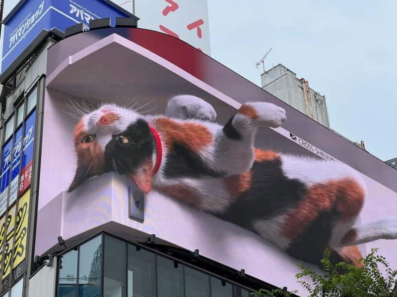 Tokyo: Private Tour of Tokyo - Who Will Benefit Most?