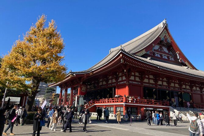 Tokyo Private Tour: One Day Highlights and Optional Shibuya Sky - Final Thoughts: Who Will Love This Tour?