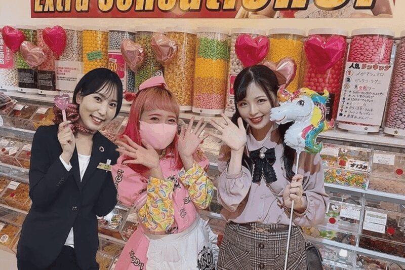 Tokyo Private Tour - Final Thoughts