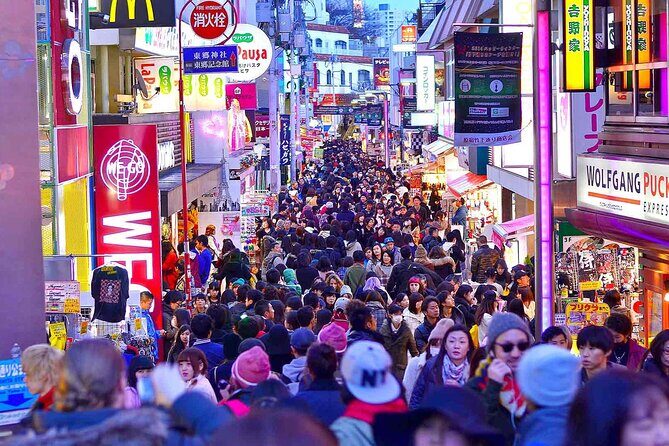 Tokyo Private Tour with an English speaking driver - Key Points