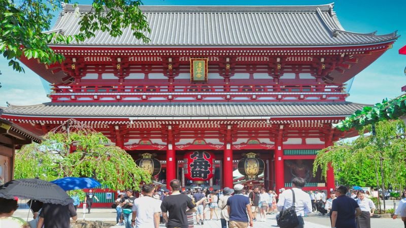 Tokyo Private Tour With English Speaking Driver - What the driver can, and cannot, do