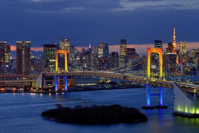 Tokyo Private Tour with English Speaking Driver - Who Should Consider This Tour?