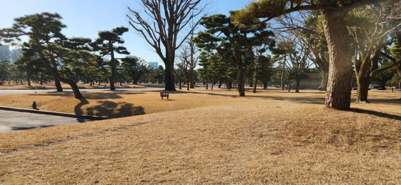 Tokyo Private Tour With English Speaking Driver - FAQs