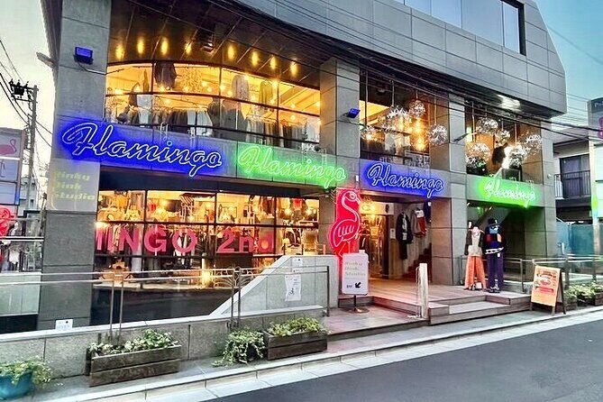 Tokyo Private Vintage Shopping Tour in a Town of youth culture - The Experience: What You Can Expect