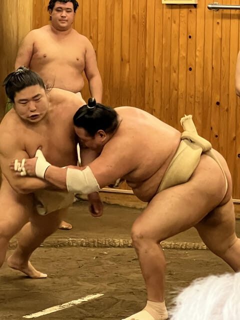 TOKYO Private visit guide Speaking French - Why This Tour Works Well for Travelers