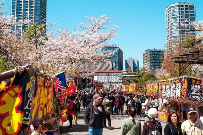 Tokyo: Private Walking Tour with a Local Guide - Who Will Benefit Most