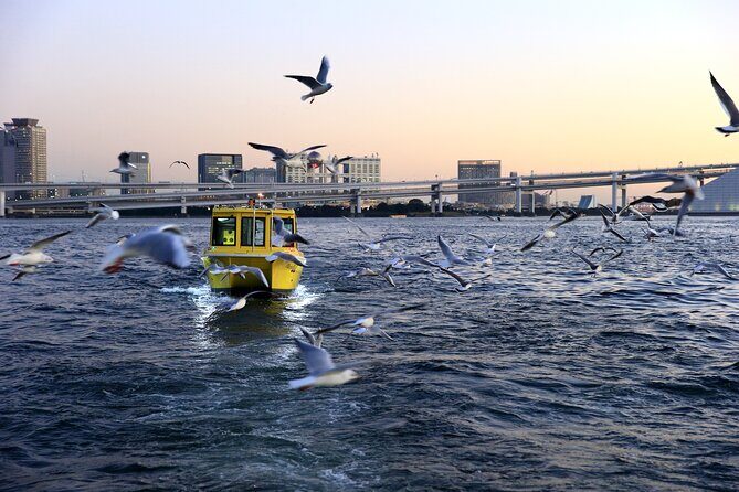 Tokyo: Seagull Feeding or Sunset Bay Cruise with Local Guide - FAQ