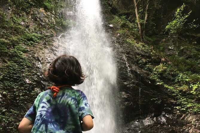 Tokyo Seasonal Peaks Discovery - Final Thoughts