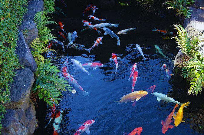 Tokyo: Senso-ji and surroundings - The Sum Up