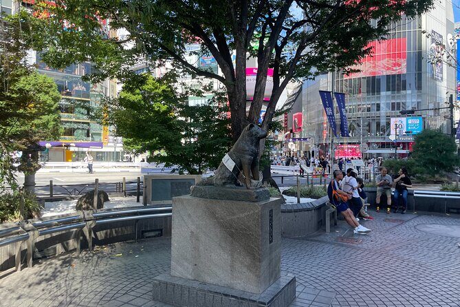 Tokyo Shibuya and Highlights Private Running Tour - A Closer Look at the Tokyo Shibuya and Highlights Private Running Tour