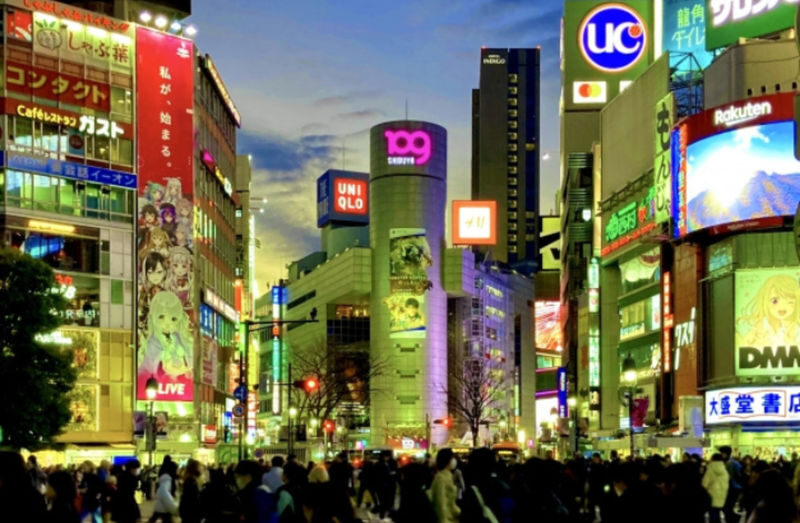 Tokyo Shibuya & Shinjuku Night Food Tour - At a glance