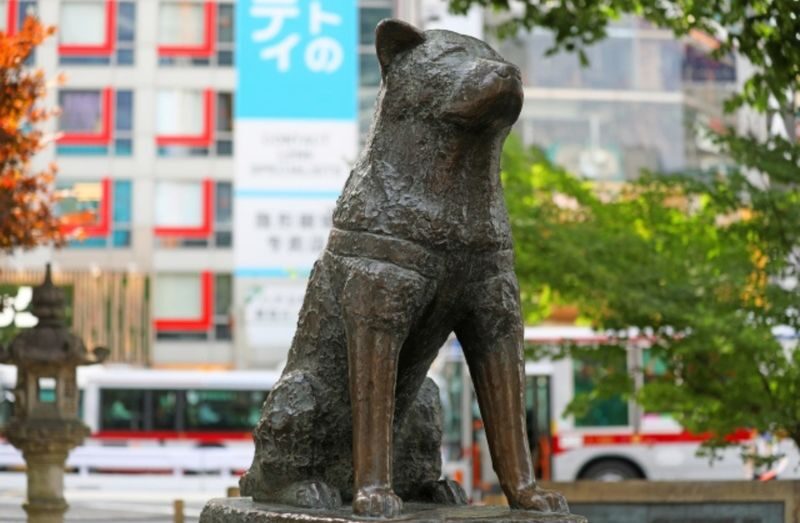 Tokyo Shibuya & Shinjuku Night Food Tour - Crossing Shibuya, then taking the train