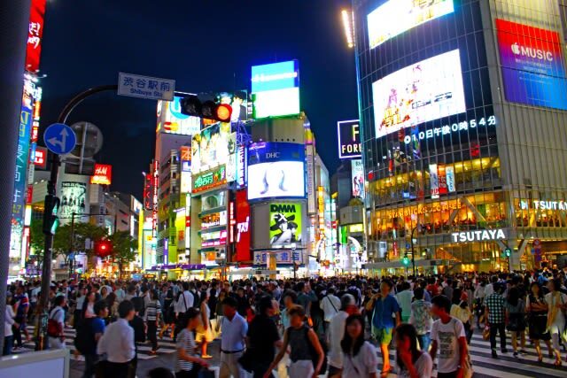 Tokyo Shibuya & Shinjuku Night Food Tour - Practical details before you go