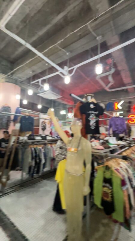 Tokyo Shimokitazawa Hidden Gems Vintage & Thrift Tour - Shopping Shimokitazawa with a local guide