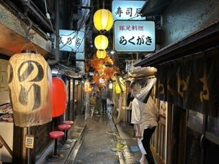 Tokyo Shinjuku: History, Culture & Hidden Alleys Walking Tour - Shinjuku in three contrasting stops
