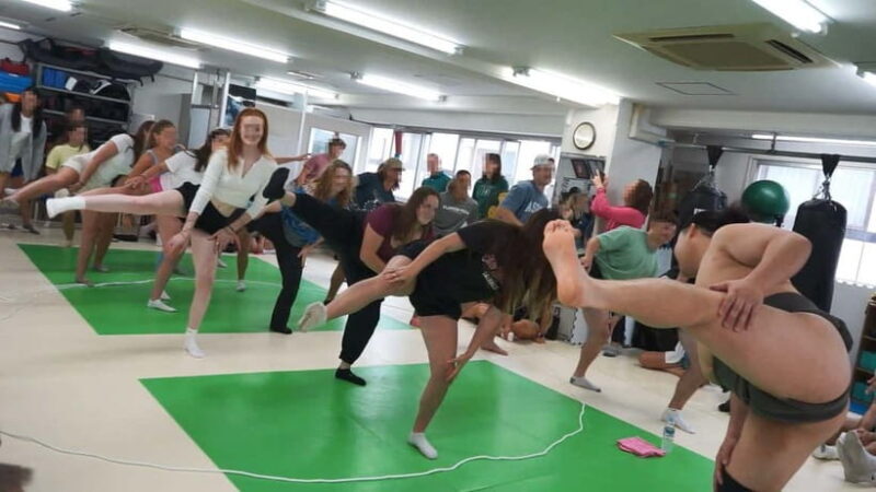 Tokyo Shinjuku: Sanctuary Grand Sumo Experience For Group - Key Points