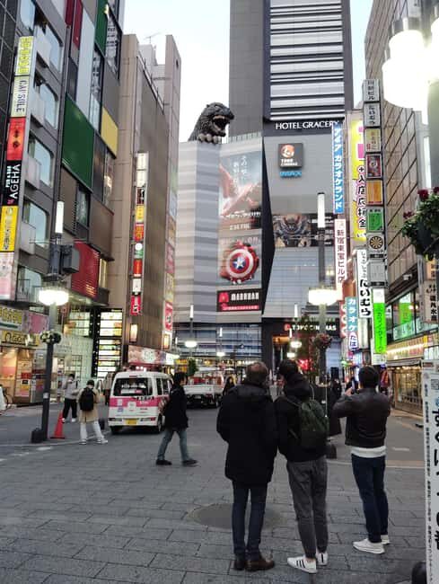 Tokyo: Shinjyuku & Shibuya 2-Hour City Tour - Who Would Enjoy This Tour?