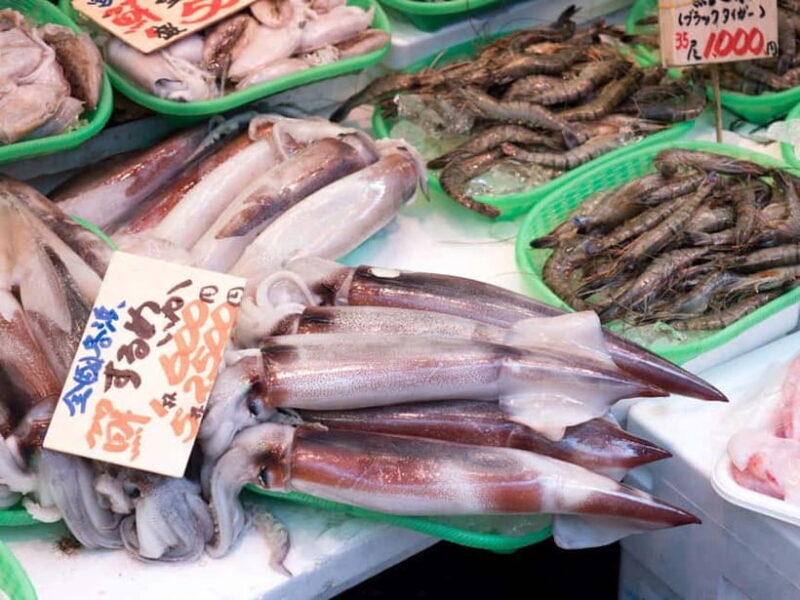 Tokyo Shopping Street Private Tour Government Licensed Guide - The Experience of Walking Through Tokyo