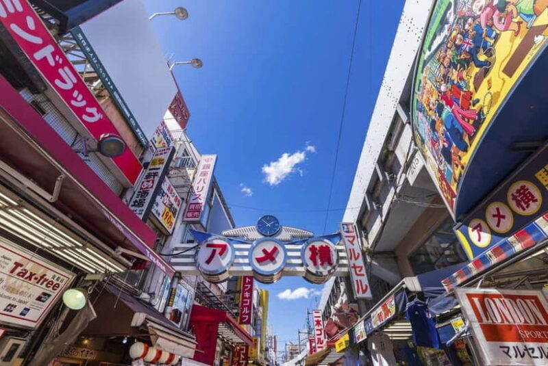 Tokyo Shopping Street Private Tour Government Licensed Guide - Practical Tips for Travelers