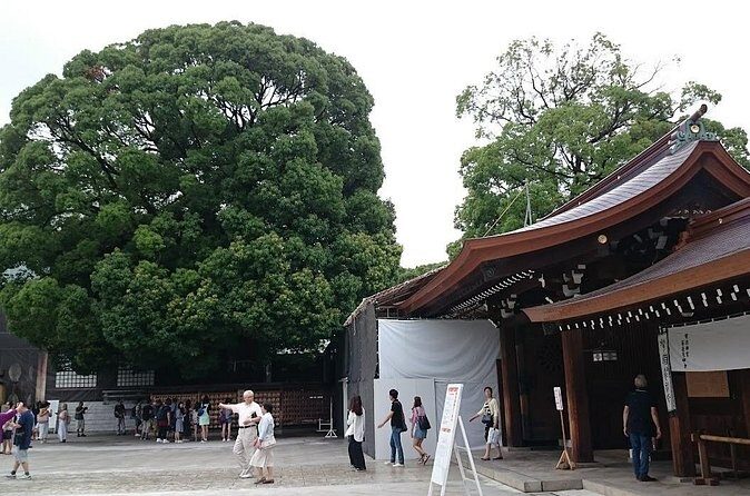 Tokyo Shrine Cultural Walks - Final Thoughts