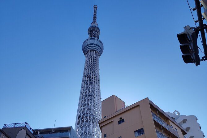 Tokyo Skytree Private Walking Tour Experience With cafe inside - Practical Tips for Booking and Enjoying the Tour