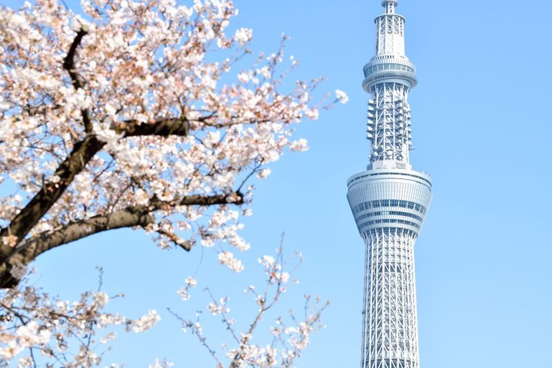 TOKYO SKYTREE Ticket - At a glance