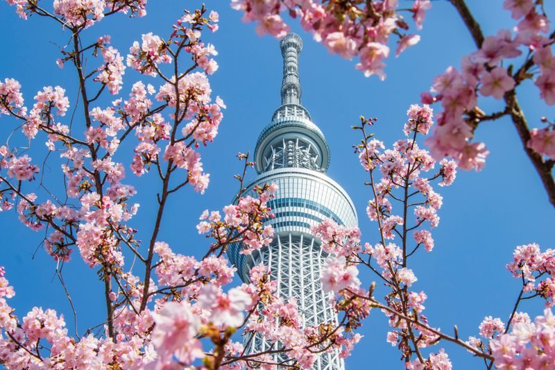 TOKYO SKYTREE Ticket - Is the ticket good value?
