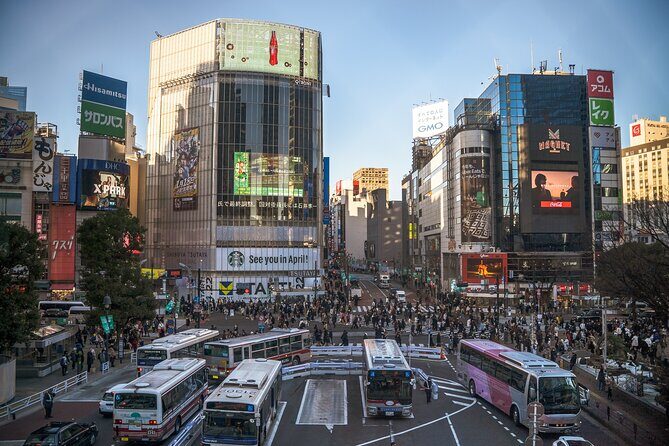 Tokyo Snapshot 4 Day Tour - Who Should Consider This Tour?