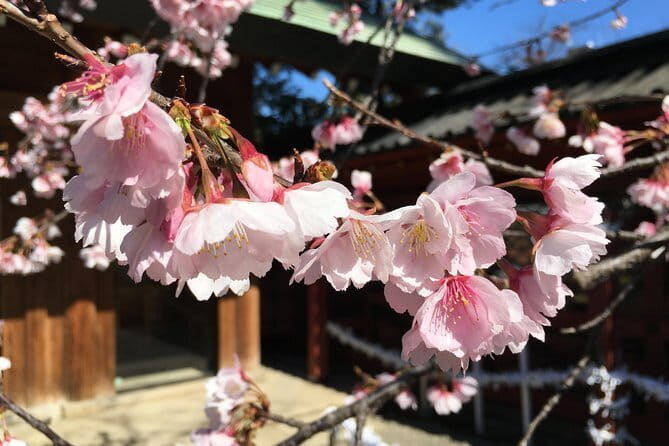 Tokyo Spring Daytime (Cherry Blossom) Food Tour - A Day in Yanaka: Discovering Tokyo’s Quiet Charm