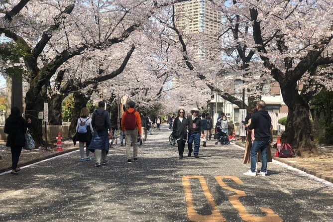 Tokyo Spring Daytime (Cherry Blossom) Food Tour - Why This Tour Might Be Perfect for You