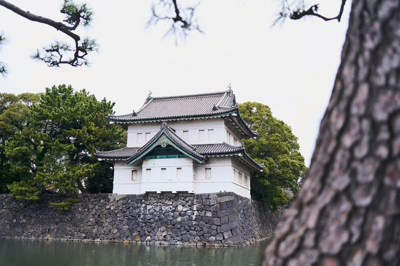 Tokyo Station & Imperial Palace 1-Hour Guided Tour - How the guides shape the experience