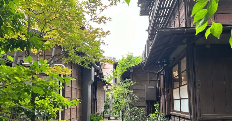 Tokyo : Stroll in the Old traditional town~Yanaka & Nezu - Authentic, Personal, and Highly Rated