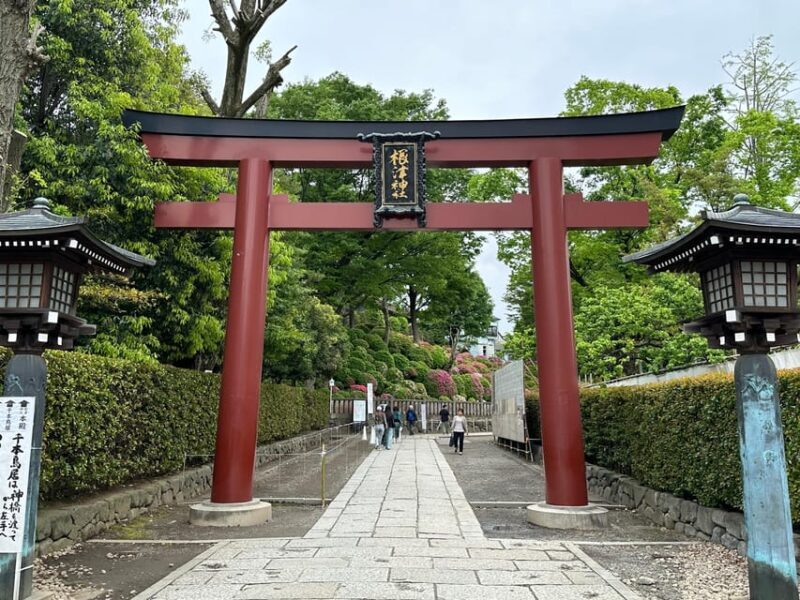Tokyo : Stroll in the Old traditional town~Yanaka & Nezu - Who Should Consider This Tour?