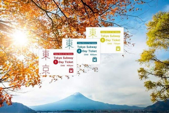 Tokyo Subway Ticket - In-Depth Review of the Tokyo Subway Ticket Experience