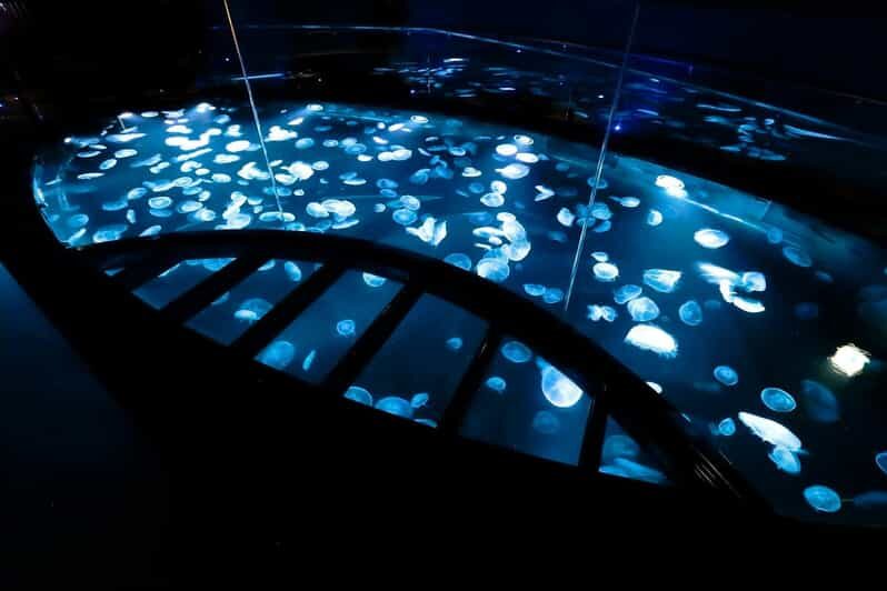 Tokyo: Sumida Aquarium Entry Ticket - Key Points