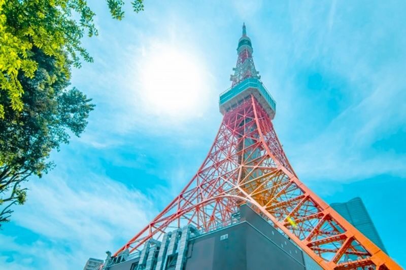 Tokyo: Sumo Entertainment with Japanese Meal at Tokyo Tower - Sumo with the rules explained