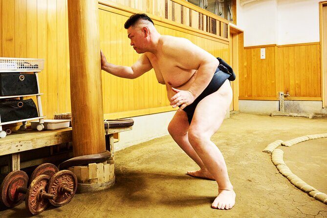 Tokyo Sumo Experience with Live Show & Audience Challenge - Who Is This Tour Best Suited For?