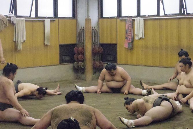 Tokyo Sumo Morning Practice Tour at Stable - Final Thoughts