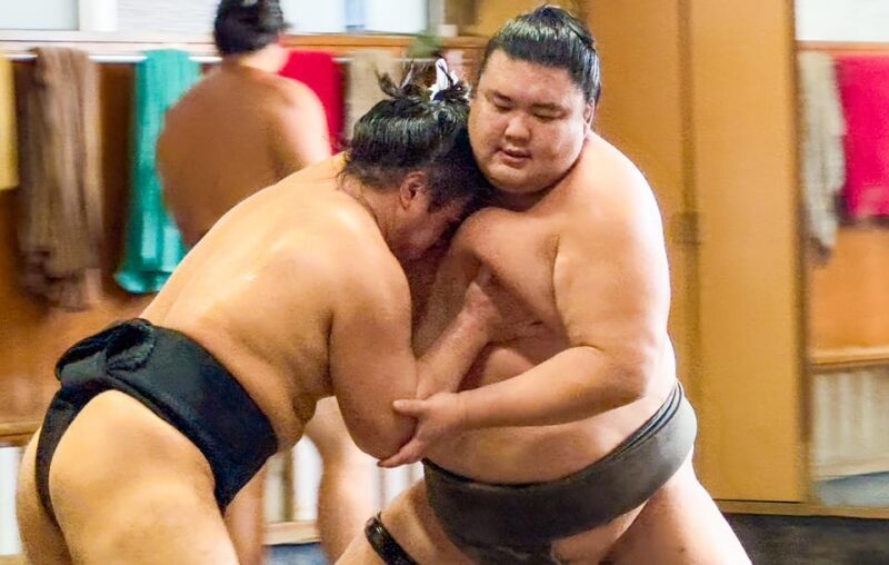Tokyo: Sumo Morning Practice Tour with Expert Reporter - Key Points