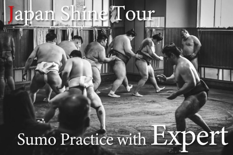 Tokyo: Sumo Morning Practice Tour with Expert Reporter - The Itinerary Breakdown