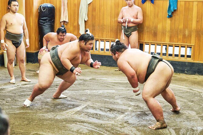 Tokyo: Sumo Morning Practice Viewing Tour at a Real Stable - Experience the True Spirit of Sumo with a Morning Practice Tour in Tokyo