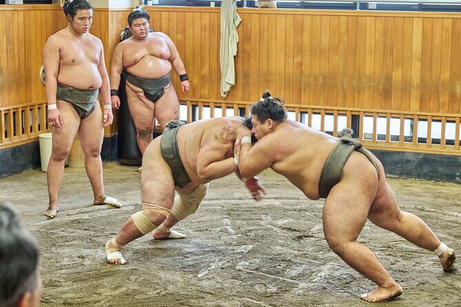 Tokyo: Sumo Morning Practice Viewing Tour at a Real Stable - Key Points
