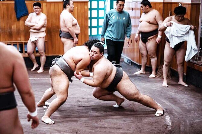 Tokyo: Sumo Morning Practice Viewing Tour at a Real Stable - Frequently Asked Questions