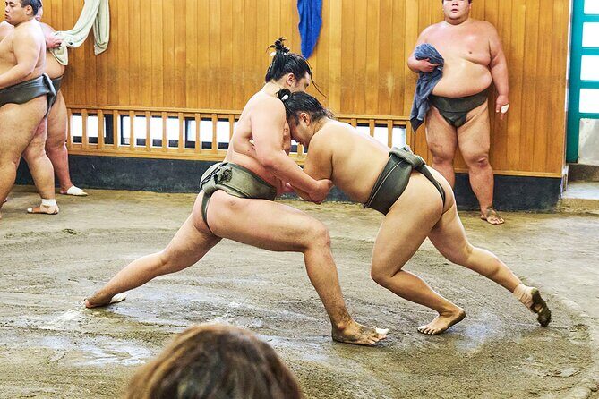 Tokyo: Sumo Morning Practice Viewing Tour at a Real Stable - Final Words